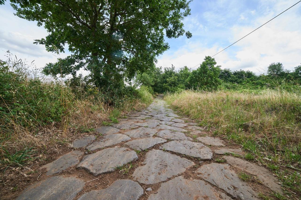 Alloggio Turistico Centro Storico Malatesta Montefiascone Buitenkant foto